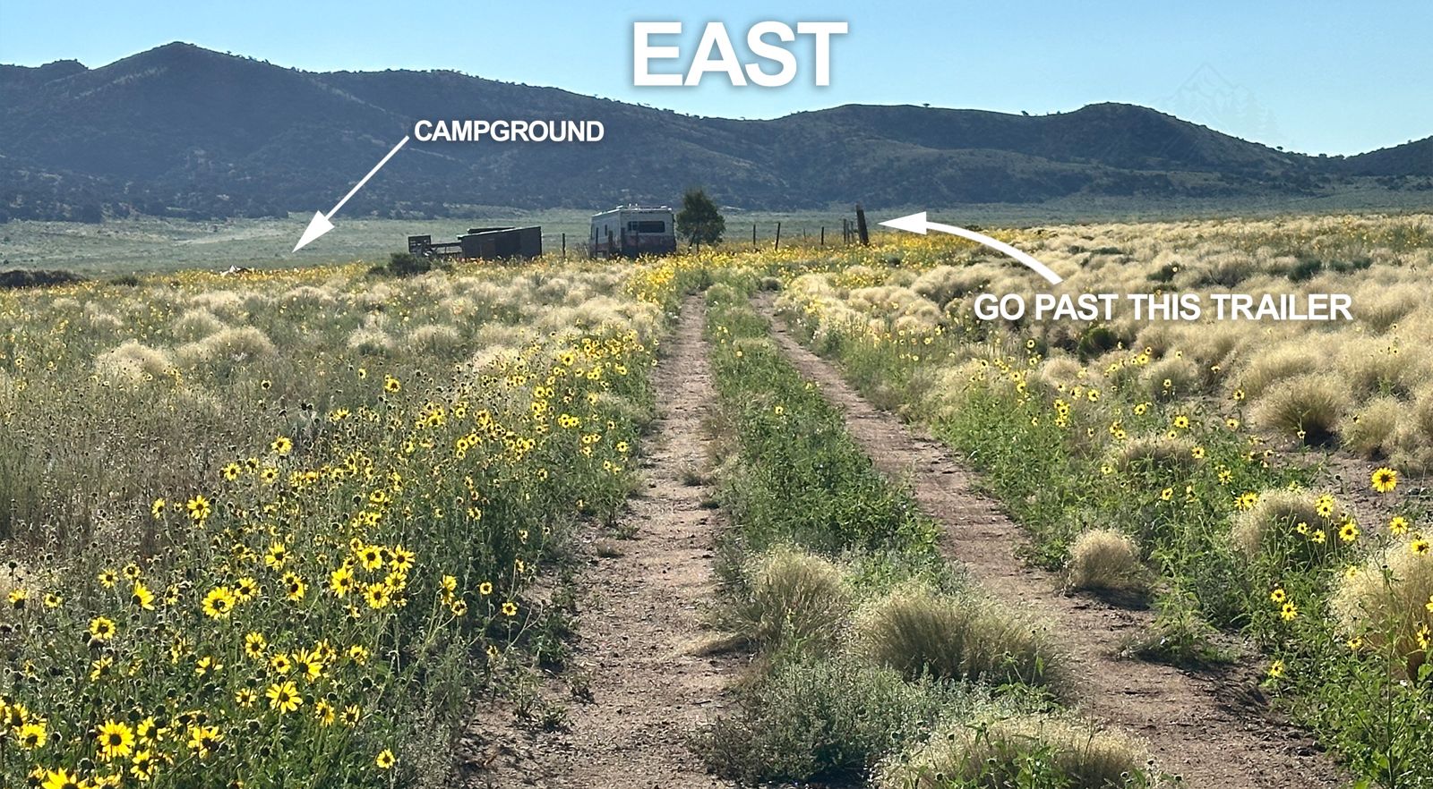 Two-track road through sunflowers heading east, with Go past this trailer and campground marked